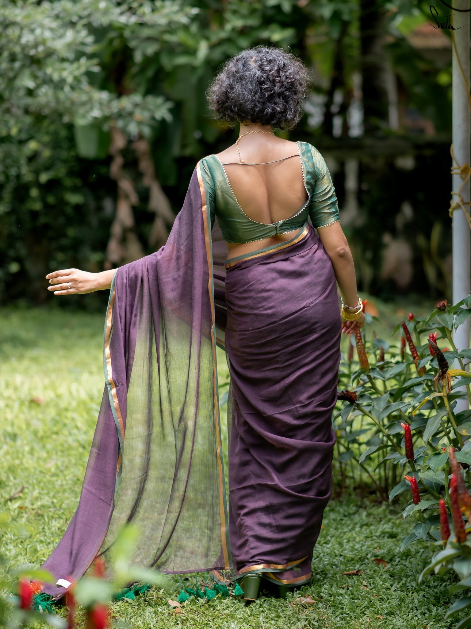 Women's Purple Casual Mul Saree