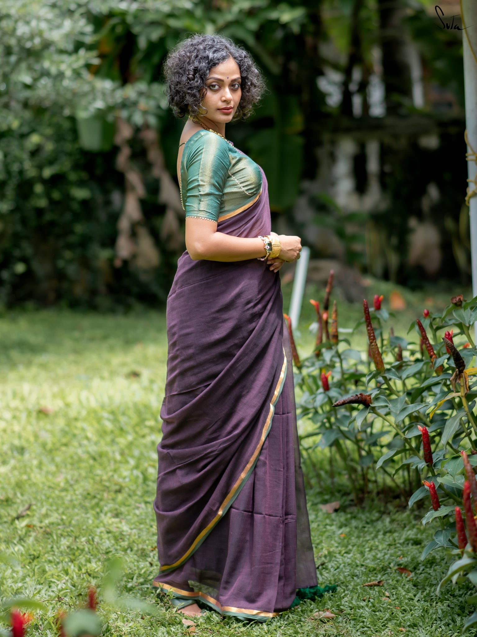 Women's Purple Casual Mul Saree
