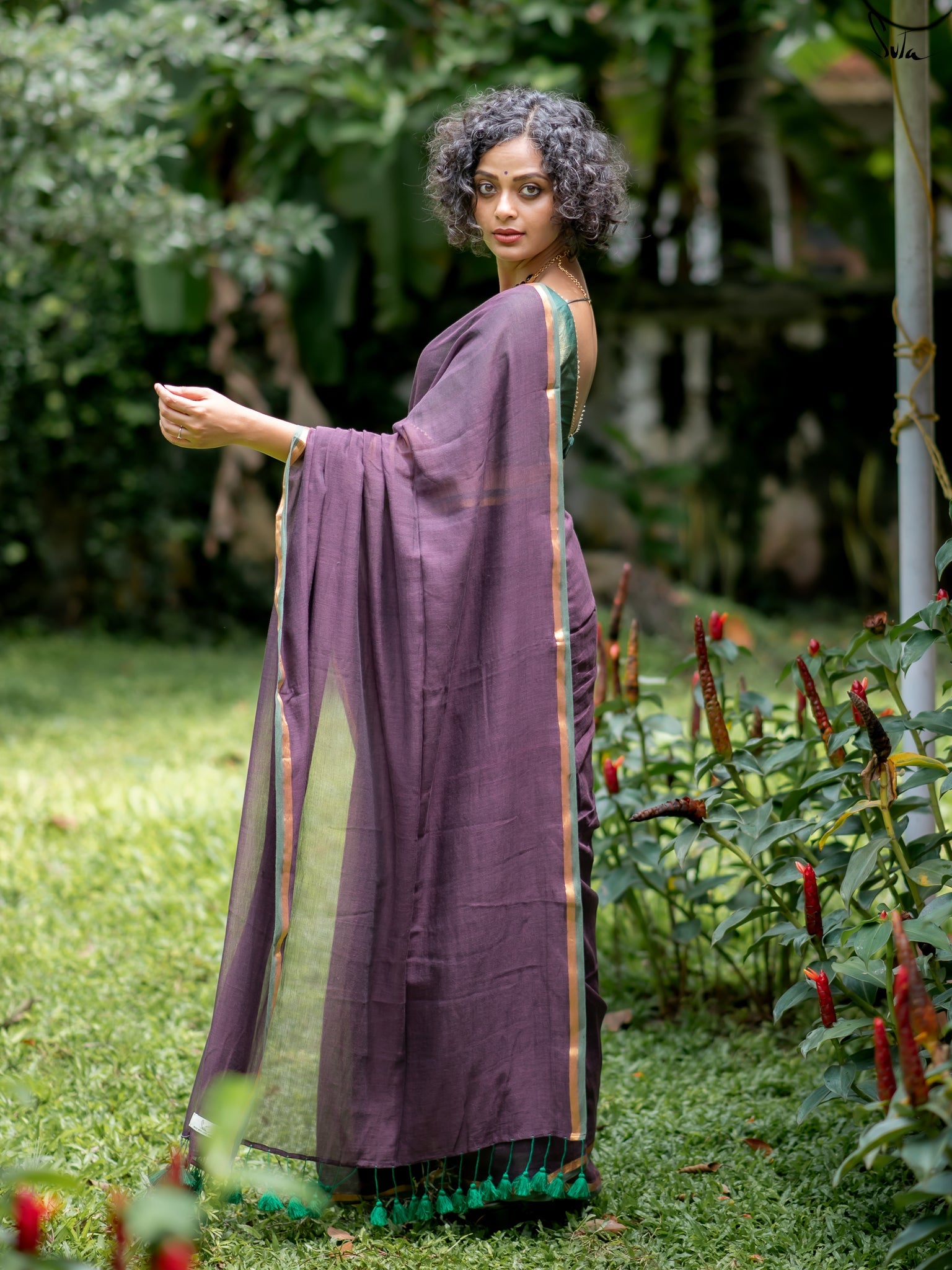 Women's Purple Casual Mul Saree