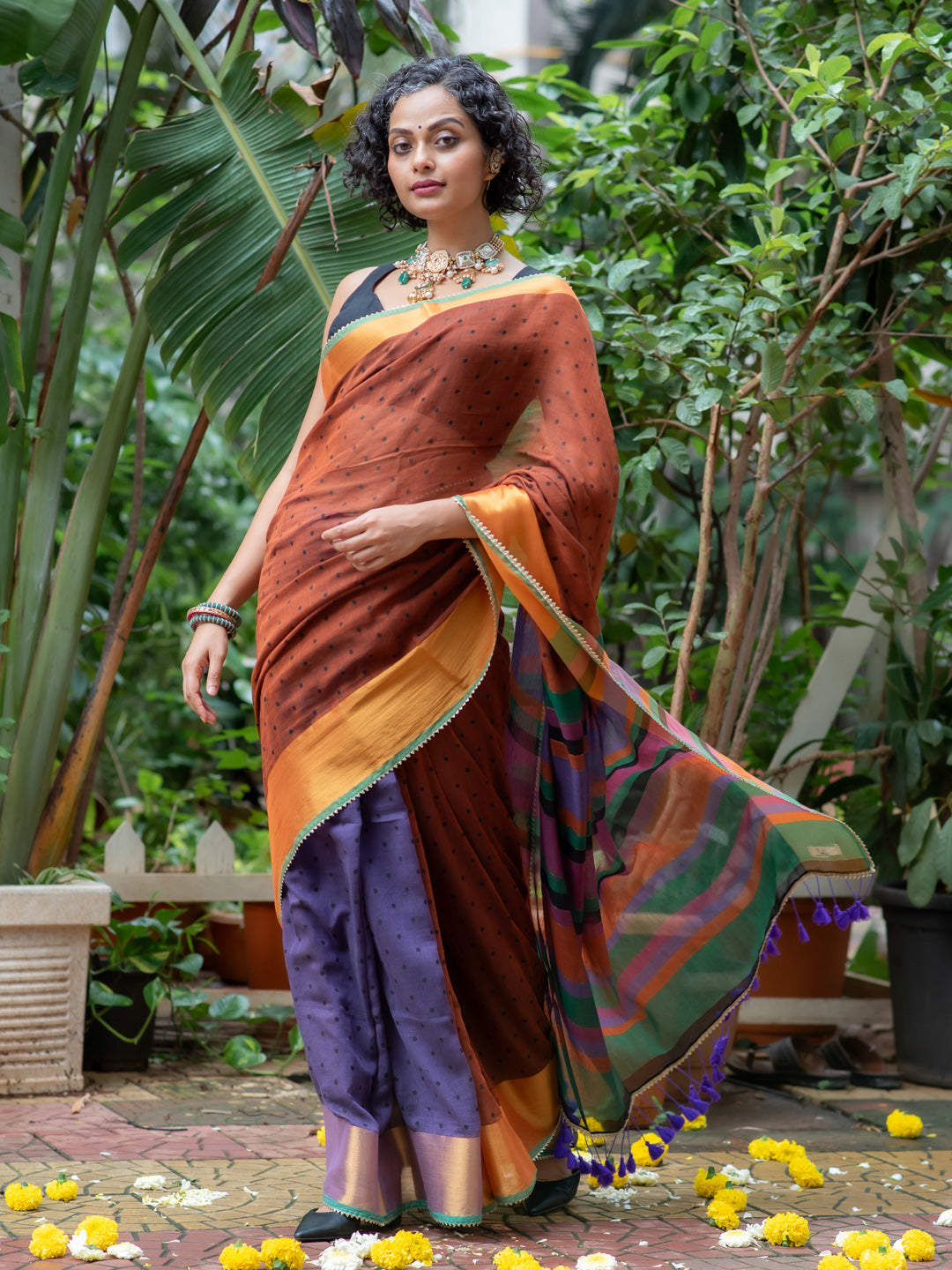 Women's Multicolor Casual Cotton Saree