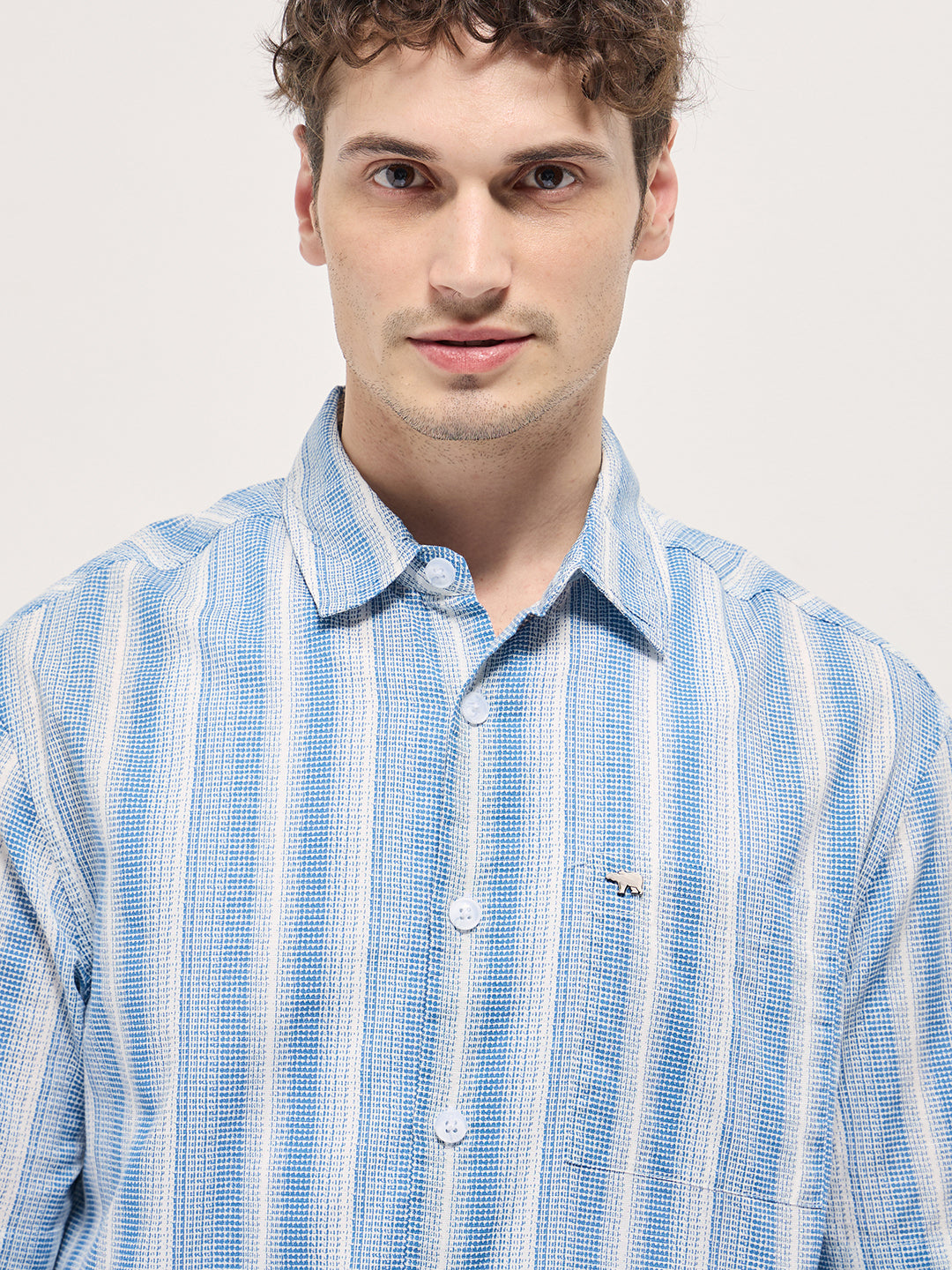 Men's Blue Casual Regular Fit Striped Half Sleeves Shirt