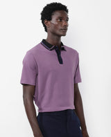 Men's Purple Casual Regular Fit Solid Half Sleeves Polo Tshirt