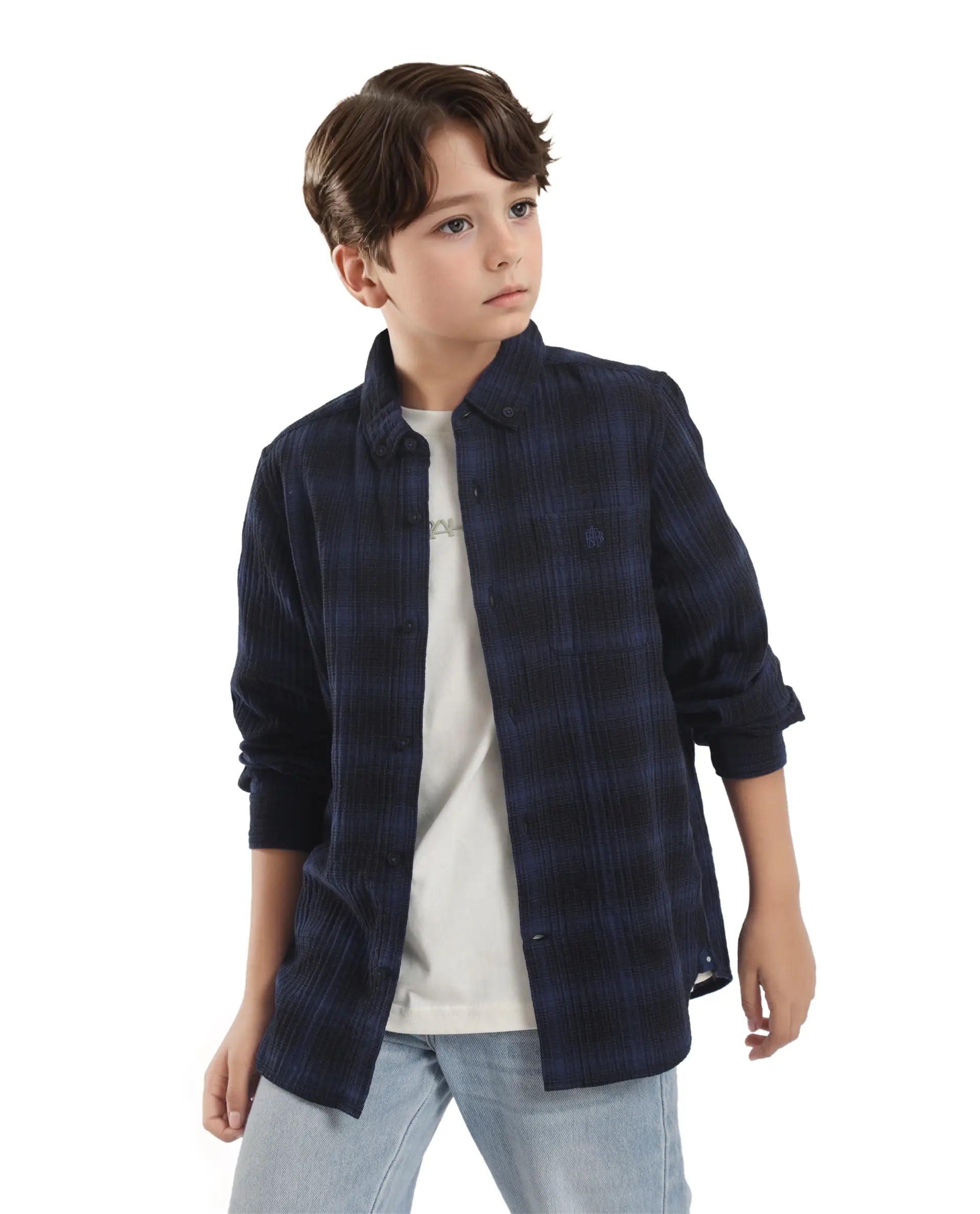 Boys Blue Casual Regular Fit Checked Full Sleeves Shirt