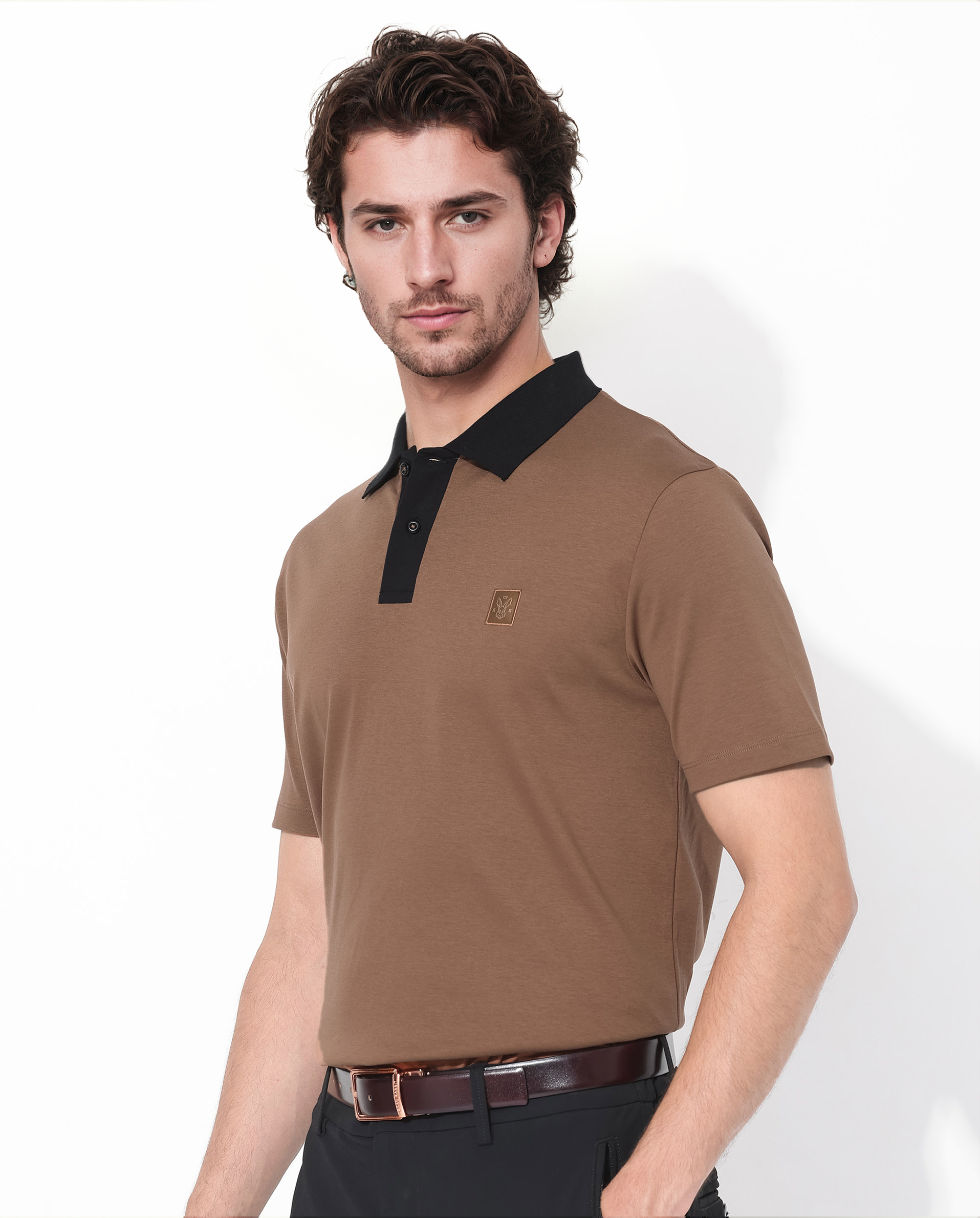 Men's Brown Casual Regular Fit Solid Half Sleeves Polo Tshirt