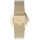 Men's Gold Solid Round 34 mm Analogue Watch - TW2Y10300