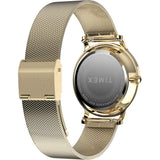 Men's Gold Solid Round 34 mm Analogue Watch - TW2Y10300