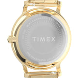 Men's Gold Solid Round 34 mm Analogue Watch - TW2Y10300