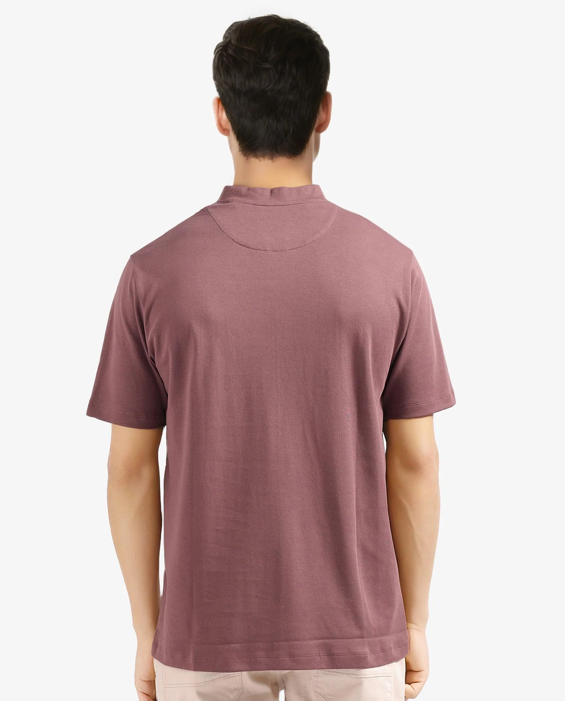 Men's Brown Casual Regular Fit Solid Half Sleeves Tshirt