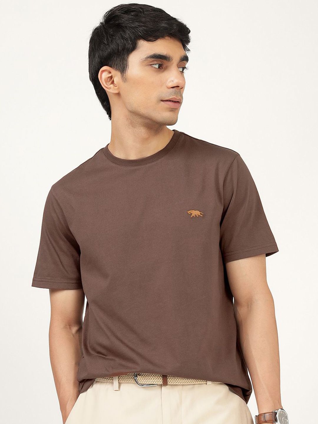 Men's Brown Casual Regular Fit Solid Half Sleeves Tshirt