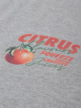 Men's Gray Casual Regular Fit Printed Half Sleeves Tshirt