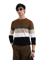 Men's Multicolor Casual Solid Slim Fit Crew Neck Full Sleeves Tshirt