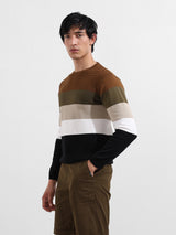 Men's Multicolor Casual Solid Slim Fit Crew Neck Full Sleeves Tshirt