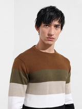 Men's Multicolor Casual Solid Slim Fit Crew Neck Full Sleeves Tshirt