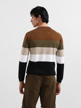 Men's Multicolor Casual Solid Slim Fit Crew Neck Full Sleeves Tshirt