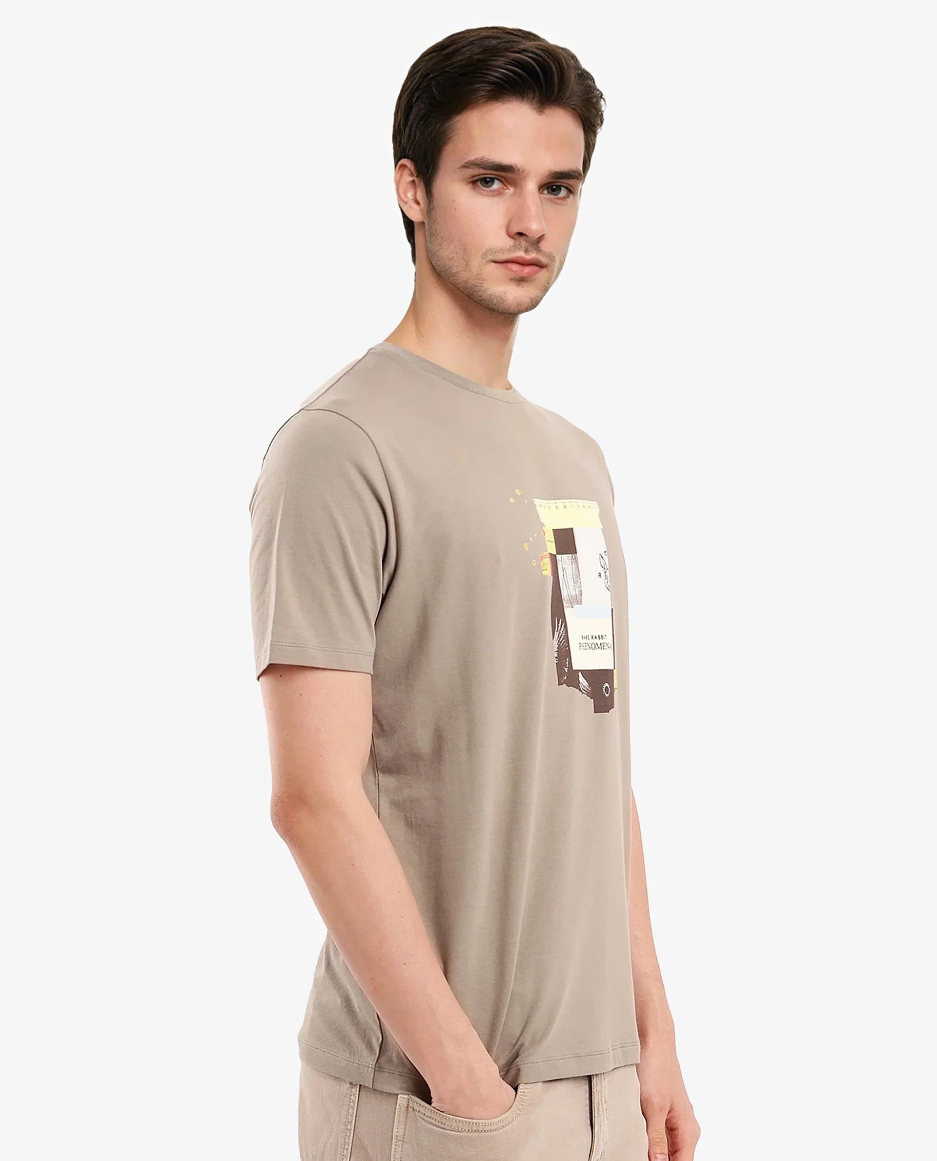 Men's Brown Casual Regular Fit Printed Half Sleeves Tshirt