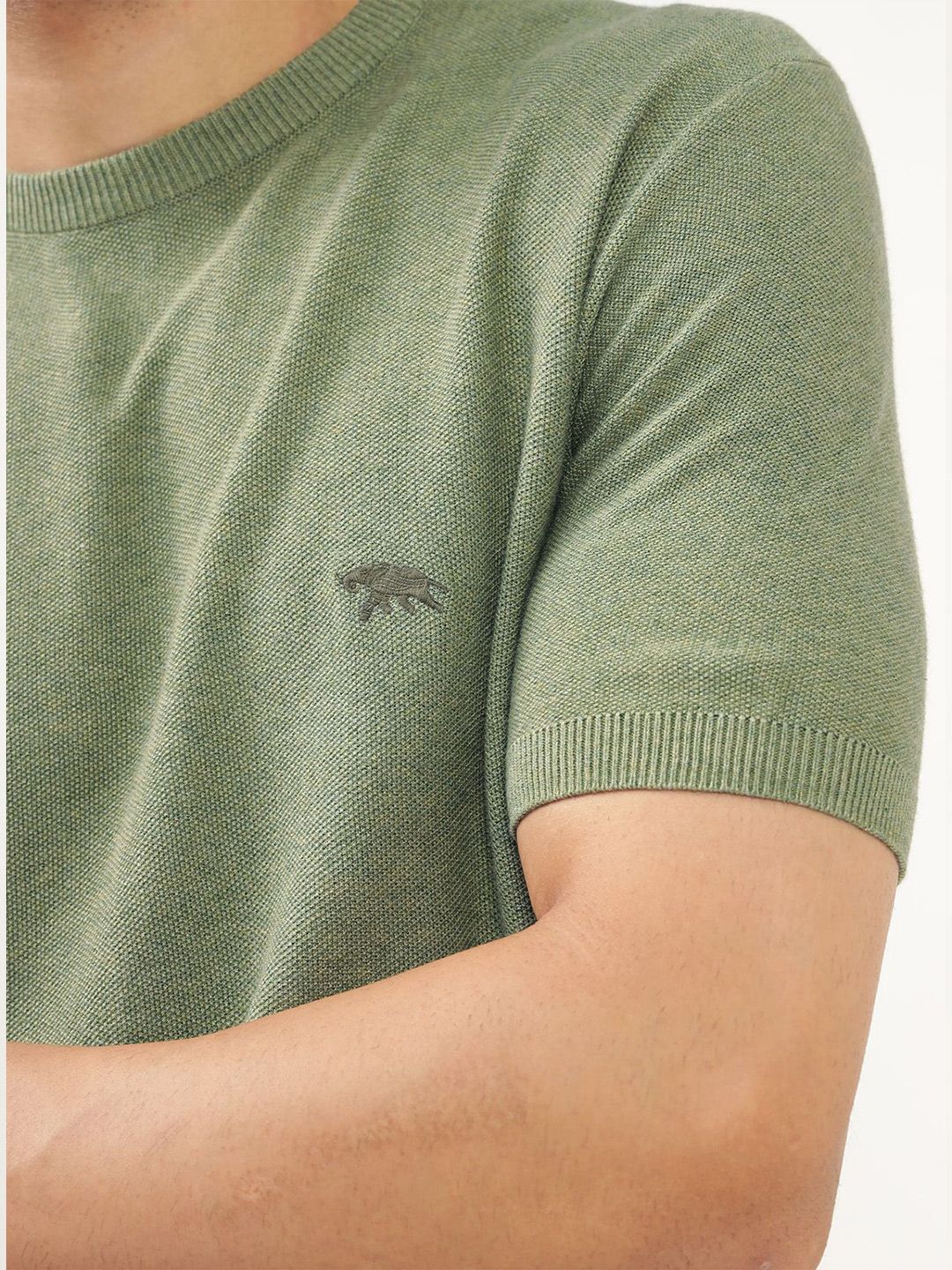 Men's Green Casual Regular Fit Solid Half Sleeves Tshirt
