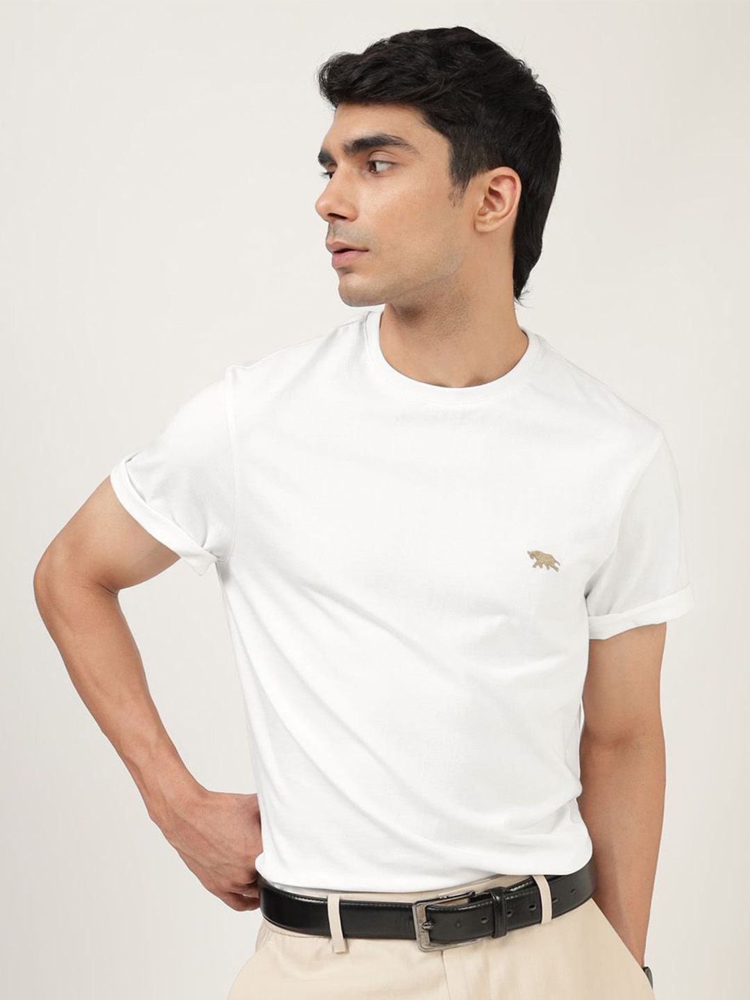 Men's White Casual Regular Fit Solid Half Sleeves Tshirt