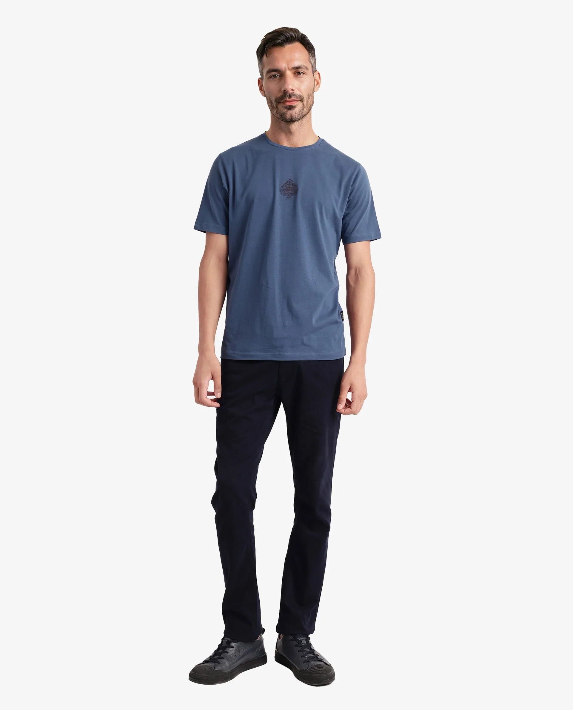 Men's Blue Casual Regular Fit Printed Half Sleeves Tshirt