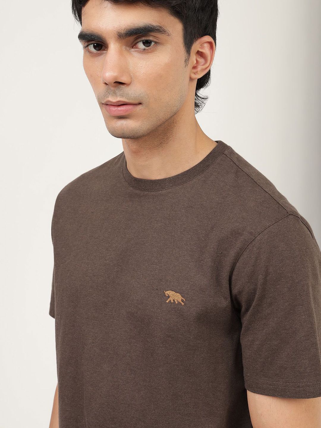 Men's Brown Casual Regular Fit Solid Half Sleeves Tshirt
